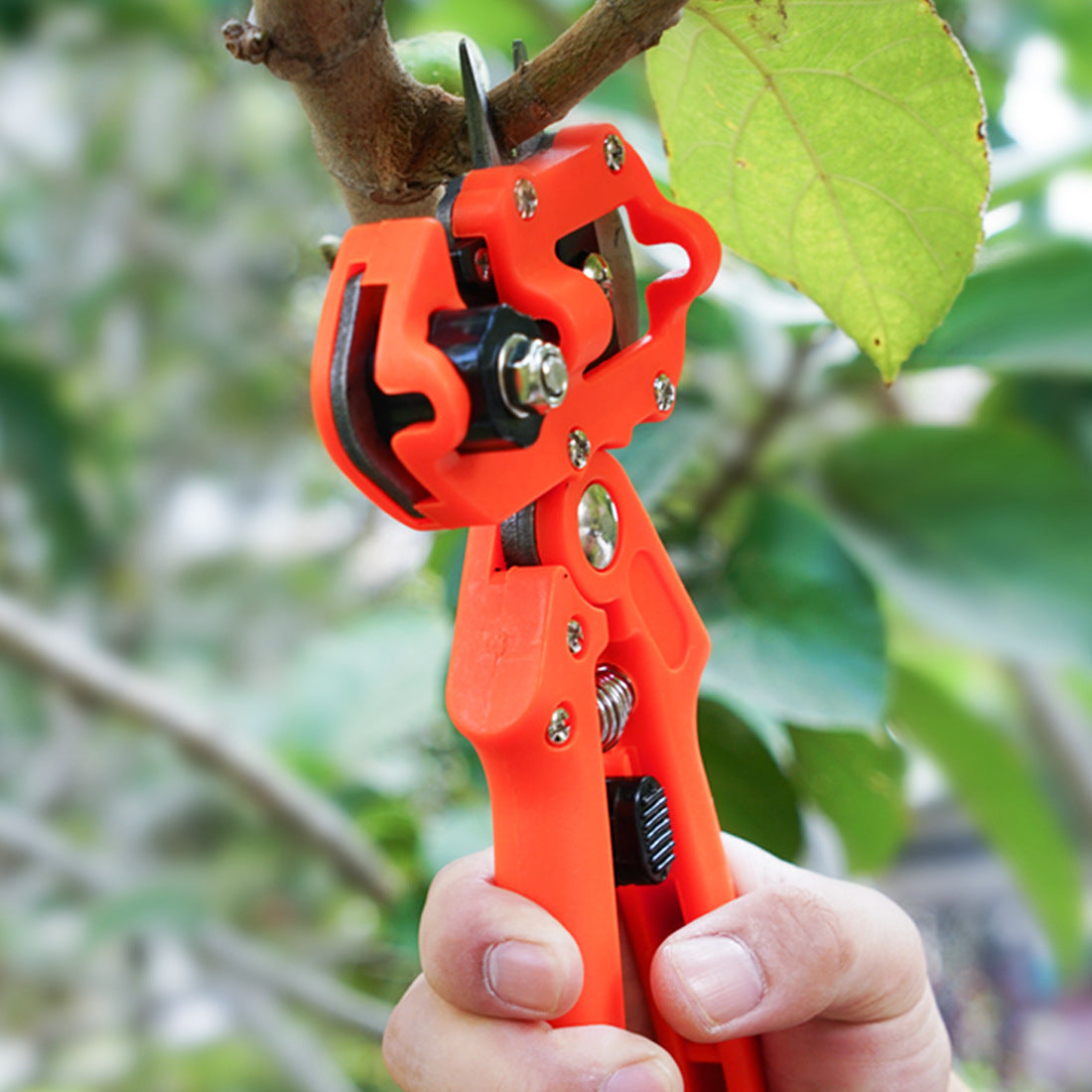 Grafting scissors can be used as gardening tools for grafting and pruning seedlings in fruit trees