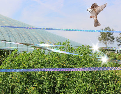 5pcs/set  Double-sided bird repellent ribbon anti-bird flash high brightness color strip laser bird repellent ribbon for home use